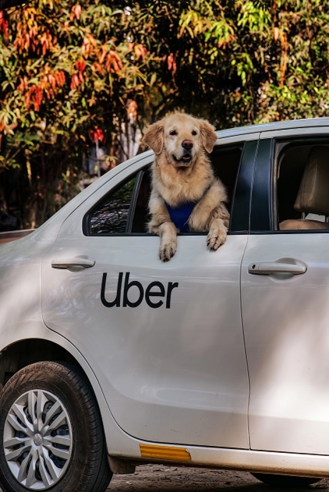 Uber Pet